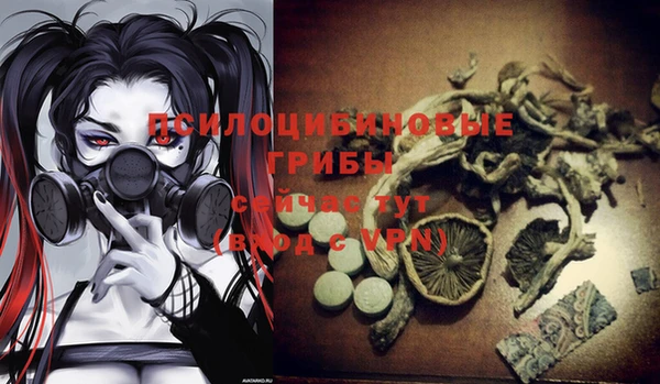 наркотики Белокуриха