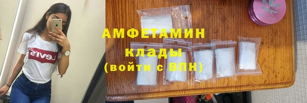 молекула духа Богородск