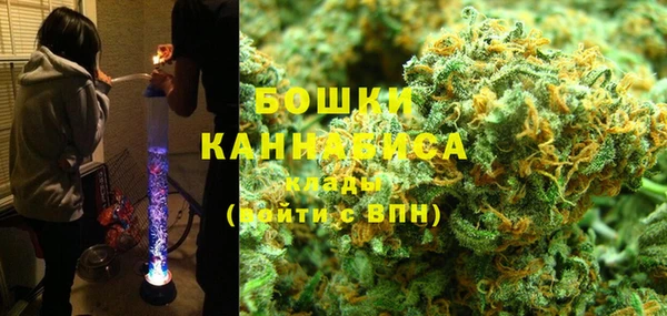 молекула духа Богородск