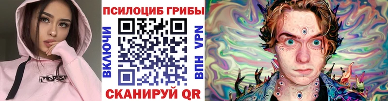 наркота  Южа  Псилоцибиновые грибы мицелий 